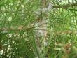 tn_gallery_1011_1162_40472.jpg