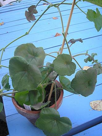 gallery_5783_3319_45943.jpg