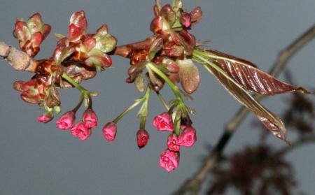 gallery_10628_3218_60427.jpg