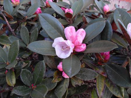 gallery_20295_3119_134094.jpg