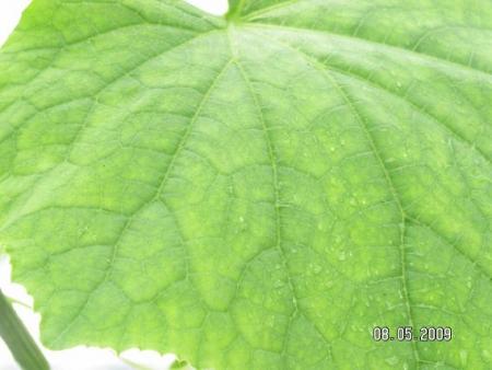 gallery_5587_3152_18760.jpg