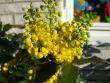 tn_gallery_22221_3402_38468.jpg