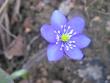 tn_gallery_4269_3396_589.jpg