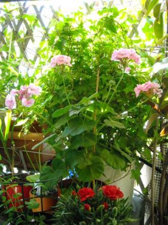 gallery_6830_3211_46027.jpg