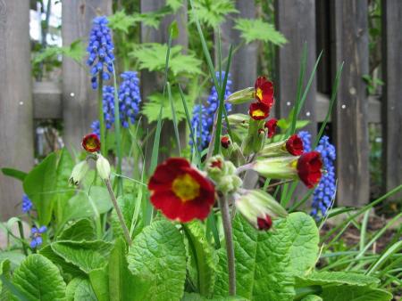 gallery_23163_3419_14507.jpg