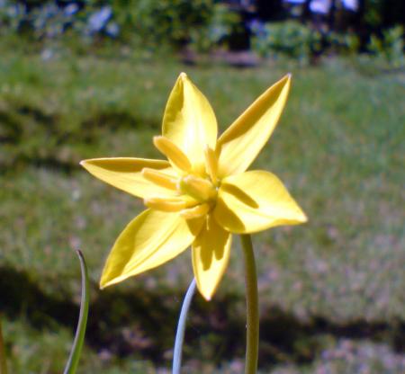gallery_4707_3413_184490.jpg
