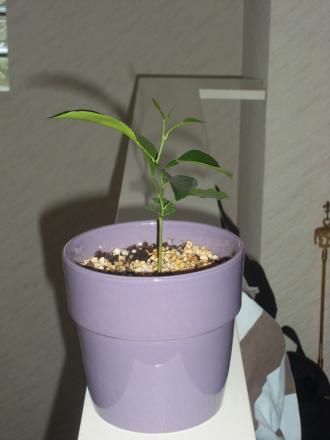 gallery_18366_3420_281177.jpg