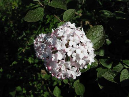 gallery_5956_3280_16183.jpg