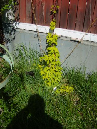 gallery_22761_3371_29836.jpg
