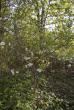 tn_gallery_5974_3431_138746.jpg