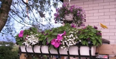 gallery_23204_3425_56000.jpg