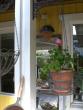 tn_gallery_941_3445_17335.jpg
