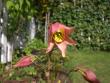 tn_gallery_941_3445_44853.jpg