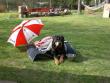 tn_gallery_941_3446_72049.jpg