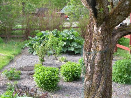 gallery_16329_3450_1384.jpg