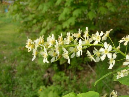 gallery_16329_3450_141393.jpg