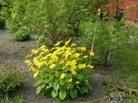 gallery_16329_3450_277612.jpg