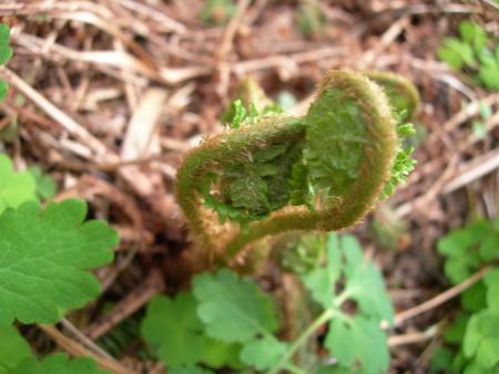 gallery_16329_3450_92325.jpg
