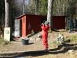 tn_gallery_941_3446_23944.jpg