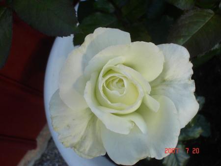gallery_23100_3409_2732.jpg