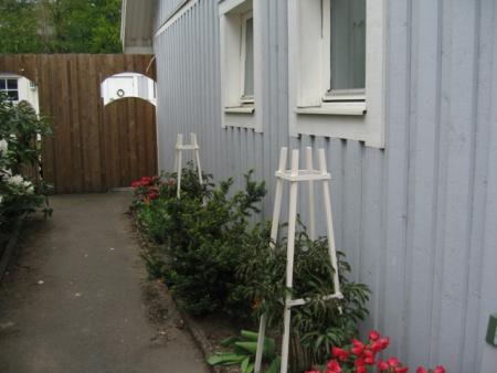 gallery_7469_747_125307.jpg