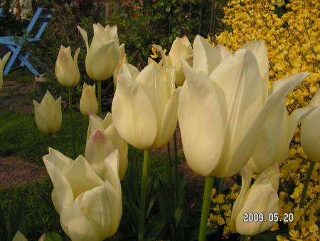 gallery_1786_3461_118431.jpg