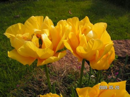 gallery_1786_3461_60840.jpg