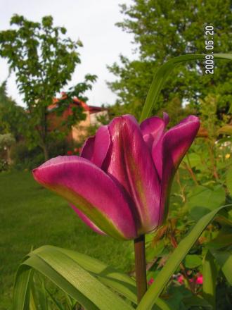 gallery_1786_3461_92984.jpg
