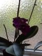 tn_gallery_17751_3458_99913.jpg
