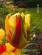 tn_gallery_1786_3461_62765.jpg