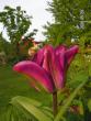 tn_gallery_1786_3461_92984.jpg