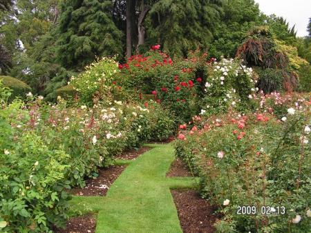 gallery_1786_3474_35999.jpg