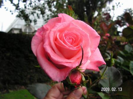 gallery_1786_3474_63085.jpg