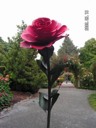 gallery_1786_3474_82046.jpg