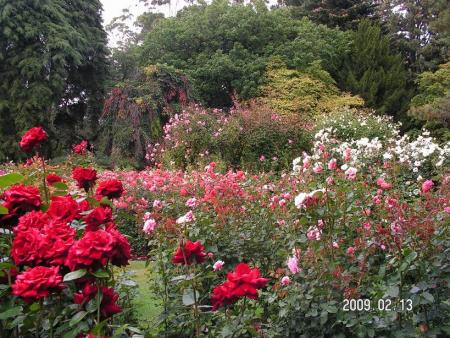 gallery_1786_3474_83932.jpg