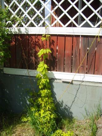 gallery_22761_3371_37899.jpg