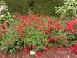 tn_gallery_1786_3474_214174.jpg