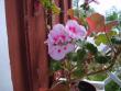 tn_gallery_22761_3371_10167.jpg