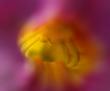 tn_gallery_3971_940_89737.jpg