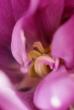 tn_gallery_3971_940_122488.jpg