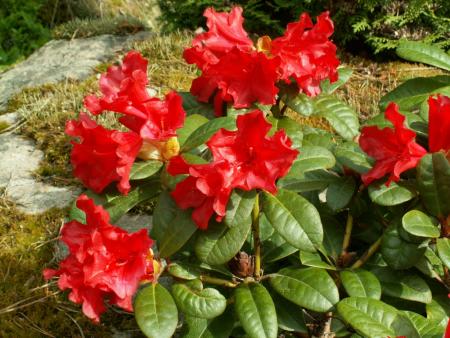 gallery_19984_3483_361281.jpg