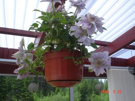 gallery_23100_3409_61134.jpg