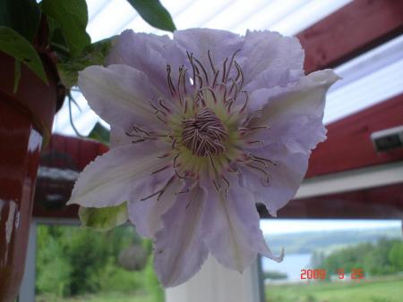 gallery_23100_3409_87552.jpg
