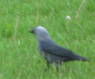 gallery_8994_3498_4134.jpg