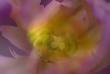 tn_gallery_3971_3496_47752.jpg