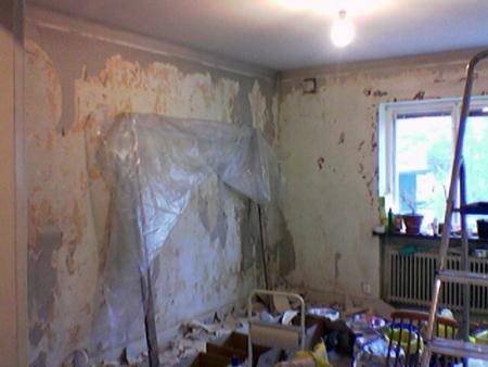 gallery_4113_2742_31525.jpg