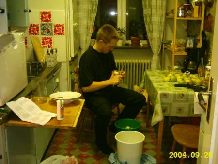 gallery_4113_2742_67324.jpg