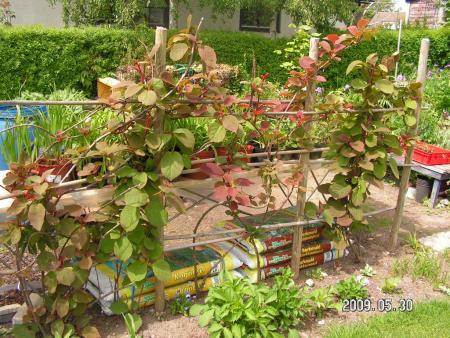 gallery_1786_2895_9426.jpg