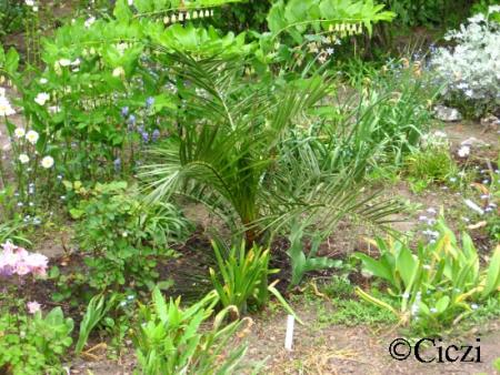 gallery_4113_3110_124110.jpg