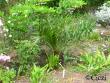 tn_gallery_4113_3110_124110.jpg